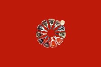 沙雅县回收红酒